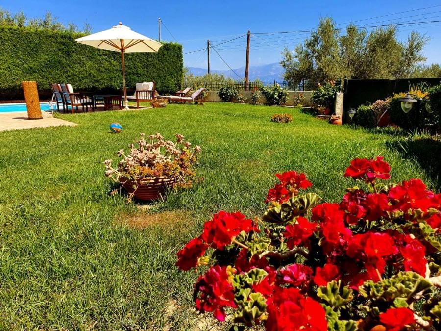 Platanos Estate Villa Akrata Exterior photo